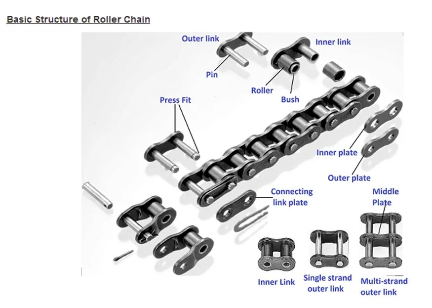 Stainless steel side bow roller chain breakdown drawing